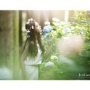 나우목장 이미지