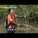 (주)황칠