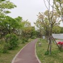 젊음과패기공원2 이미지