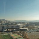 행정중앙1로 티스토리