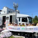 달온기 이미지