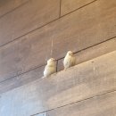 9000 당구의 신 | 영등포 타임스퀘어 데이트 | 주렁주렁 | 영이의 숲 | 코오롱 스포렉스 | 신룽푸 마라탕