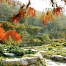 용인축협 한우사육장 이미지