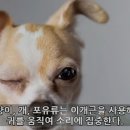 진화 이미지