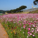 황룡강변 이미지