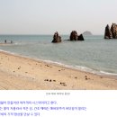 제부도 매바위/ 변산바람꽃 이미지