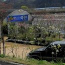 에버그린화원