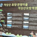 오방색권역 이미지