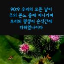 ♧시편90편 1~17(하나님의 사람 모세의 기도)"주여 주는 대대에 우리의 거처가 되셨나이다." 이미지