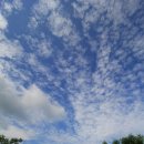 강수농장 이미지