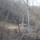 상평동-1 이미지