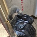 사나이짐 | 간절기 헌옷 정리 끝! 대전 헌옷수거 '헌옷사나이' 44kg 현금 17,600원 리얼 후기 (400원 단가 꿀팁)