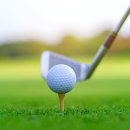 필승스크린골프 이미지