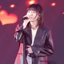 봄 설레임 콘서트 Daum카페