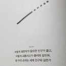 직선본능 이미지