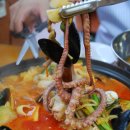 해품조개 이미지
