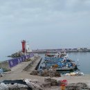 녹차향기 이미지