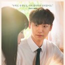 유한회사 편안한이동 이미지