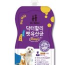 댕댕이네마켓