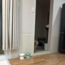 콩심이네애견마을 | 밀양 애견 동반 펜션 핑코하우스 다동 독채 예약 및 상세후기