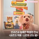 펫스페이스 | 서래마을 갤러리 스페이스 엘, 반려견과 함께한 《공존의 색채 : 나란히 걷는 봄》 전시 관람 후기