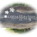 주말~부안(변산반도,채석강,부안댐,부안 오디축제 다녀옴) 이미지