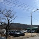 성덕막국수 돼지갈비 | 기장 철마 한식 맛집 철마연밥 한우떡갈비정식 돼지갈비정식 비교 막국수 후기