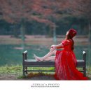 메타세쿼이아랜드 이미지