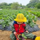 지훈농장 이미지