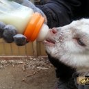 (주)한양사료 이미지