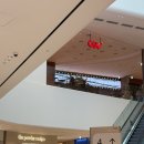 베이비캐슬어린이집 | 스타필드 빌리지 크리스마스트리 무료입장 그리고 뽀로로 스위트 캐슬 대모험