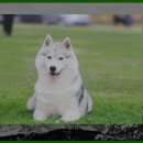 태조대왕태실 | 태조대왕태실 방문 후기: 역사 속으로의 시간 여행