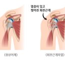하나통증의학과의원 이미지