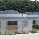 염소농장 이미지