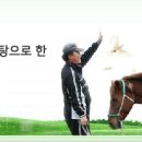 성운대학교 재활승마장 네이버블로그