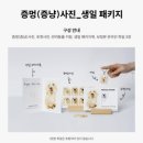 쿠하우스 | 부산 증멍사진 위글하우스 후기｜반려견 인생사진 남기기