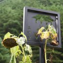 계곡 끝집 이미지