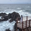 덕봉산 | 강원도 삼척 가볼만한곳 덕봉산해안생태탐방로 후기 사진맛집