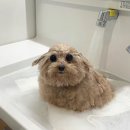 월성마트 이미지