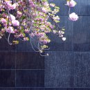 유엔기념공원주차장 이미지