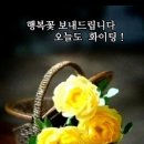 동행자 이미지