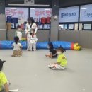 캥거루태권도 네이버블로그