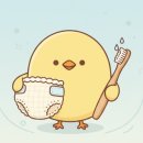 에코 부모라면 주목! 천 기저귀/대나무 칫솔, 제로 웨이스트 육아템 TOP 3 (가격, 성능 비교 데이터)