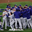 2024 KBO 우승 기아타이거즈 MLB우승 LA 다저스 이미지