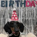 댕스기빙데이 이미지