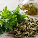 내 몸 살리는 약선차와 건강약선 레시피 | 몸이 찬 당신을 위한 보약 '쑥차' 효능: 여성 질환부터 염증 제거까지