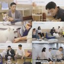 펫미픽미 이미지