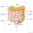 뉴데이라이프 이미지