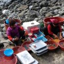 천지연 앞 이미지