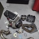 알리와 윌리 이미지